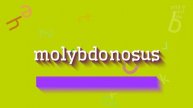 MOLYBDONOSUS - HOW TO PRONOUNCE IT? #molybdonosus