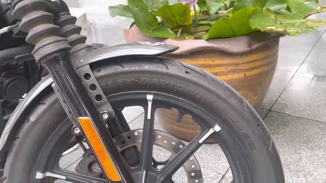 Go to watch Motovlog ทอดผ้าป่าโรงเรียนแถวสามเสน พาชมร้าน Benzol cycle смотреть онлайн