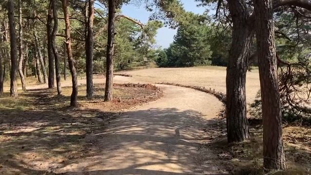 ВПУСТИЛА БЫСТРО РАДИ СЛАДКОГО ФИНАЛА. Истории из жизни. Жизненные рассказы, аудио рассказ смотреть онлайн