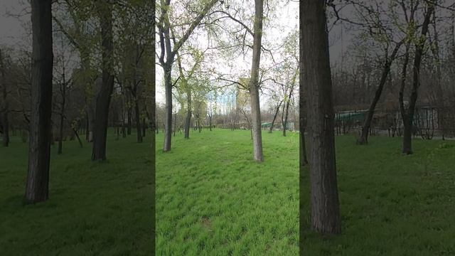 Набережная Донецка сегодня