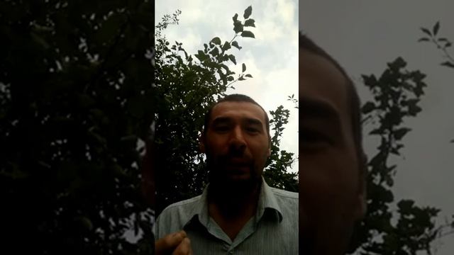 Усталость и причины  Биохимия Гармоны Медицина. 43