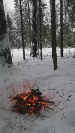 Зимний пикник