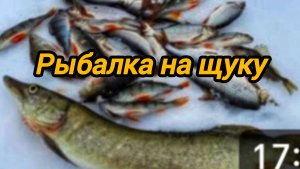 РЫБАЛКА НА ЩУКУ В ЯНВАРЕ. ПЕРВЫЙ РАЗ РЫБАЧУ САМА.