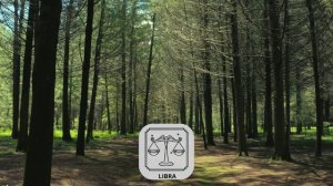 ✨Точный Гороскоп на 11 Апреля 2025 для Всех знаков Зодиака