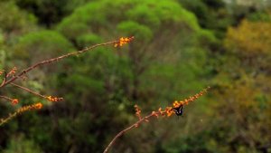 17232252-hd_1920_1080_24fps