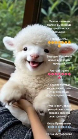 Всем доброго времени суток всегда.