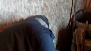 Дед Матвей весь в огороде.