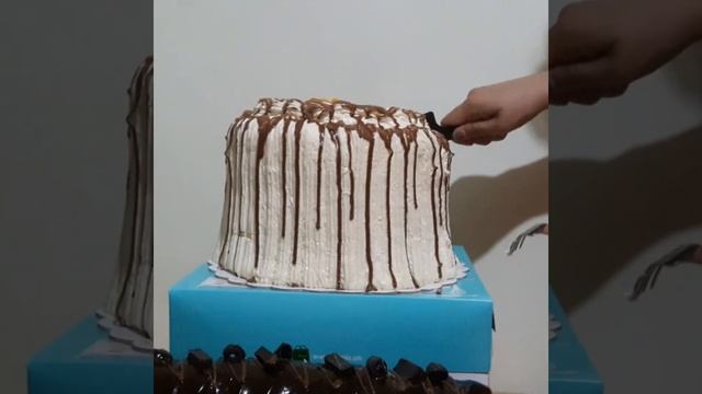 Unboxing Contis' Mango Bravo (part 2)