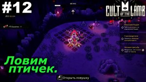 Ловим птичек.#12 Cult of the Lamb. Прохождение
