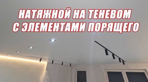 Натяжные потолки на теневом с элементами парящего и треками Maytoni