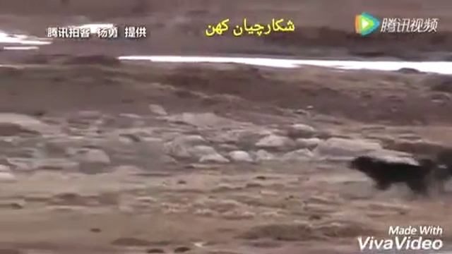 Ч1инхо смотреть онлайн