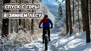 Спуск с горы в Зимнем Лесу. От первого Лица.