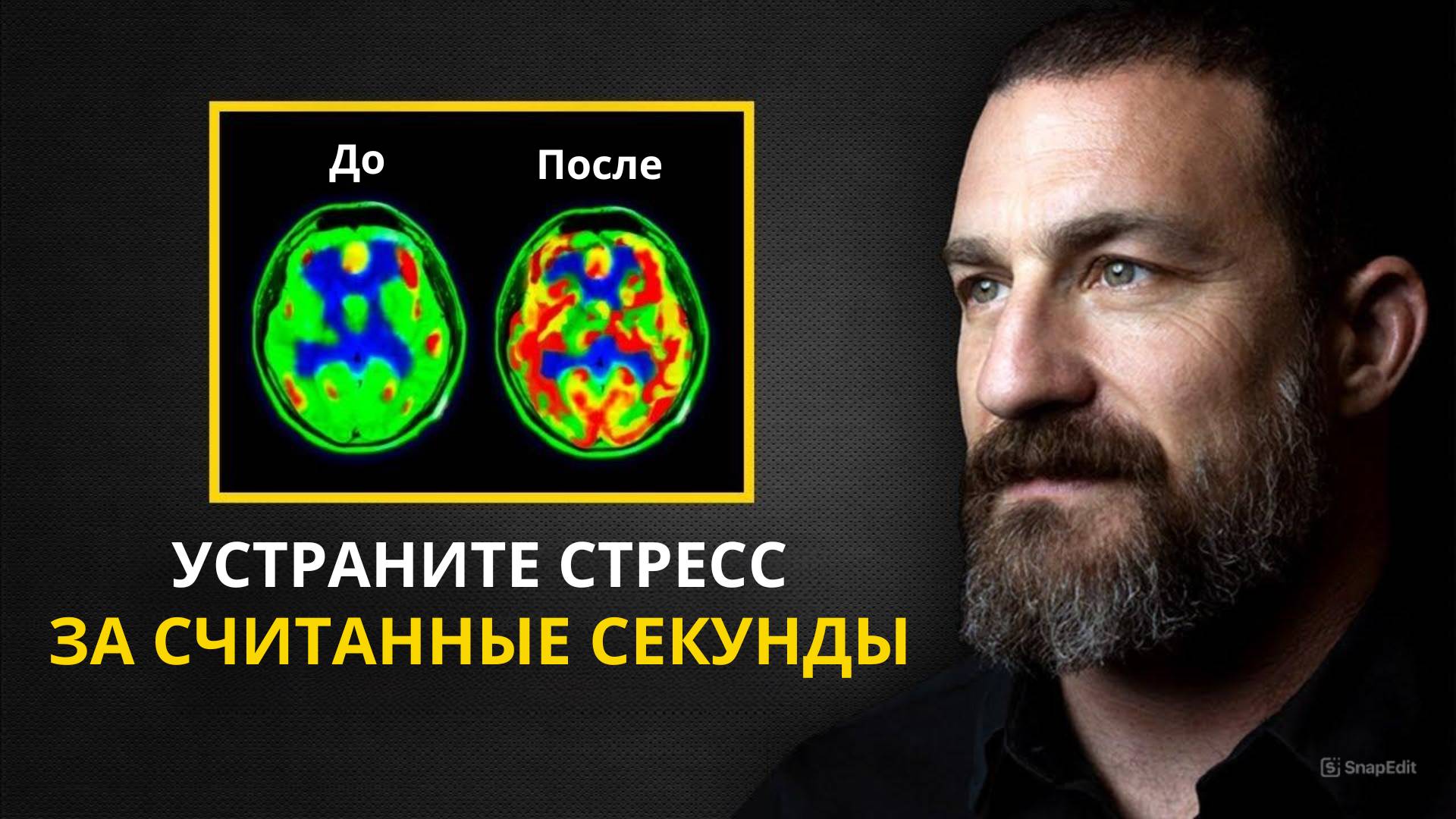 Невролог. Вы больше никогда не будете испытывать стресс. Эндрю Губерман