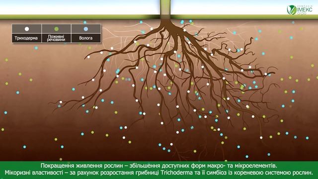 MicoCell™ - для відновлення грунтів