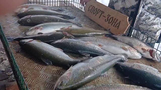 11-04-2025 смотреть онлайн