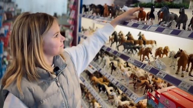 Фирменный магазин Schleich