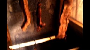 Копчение полугорячее