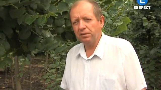 Озеленення по   науці