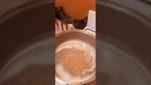 Итке тамақ істеу жалғасы бар смотреть онлайн