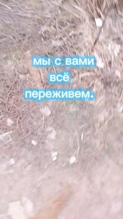 спасибо за 60 подписчиков!!!