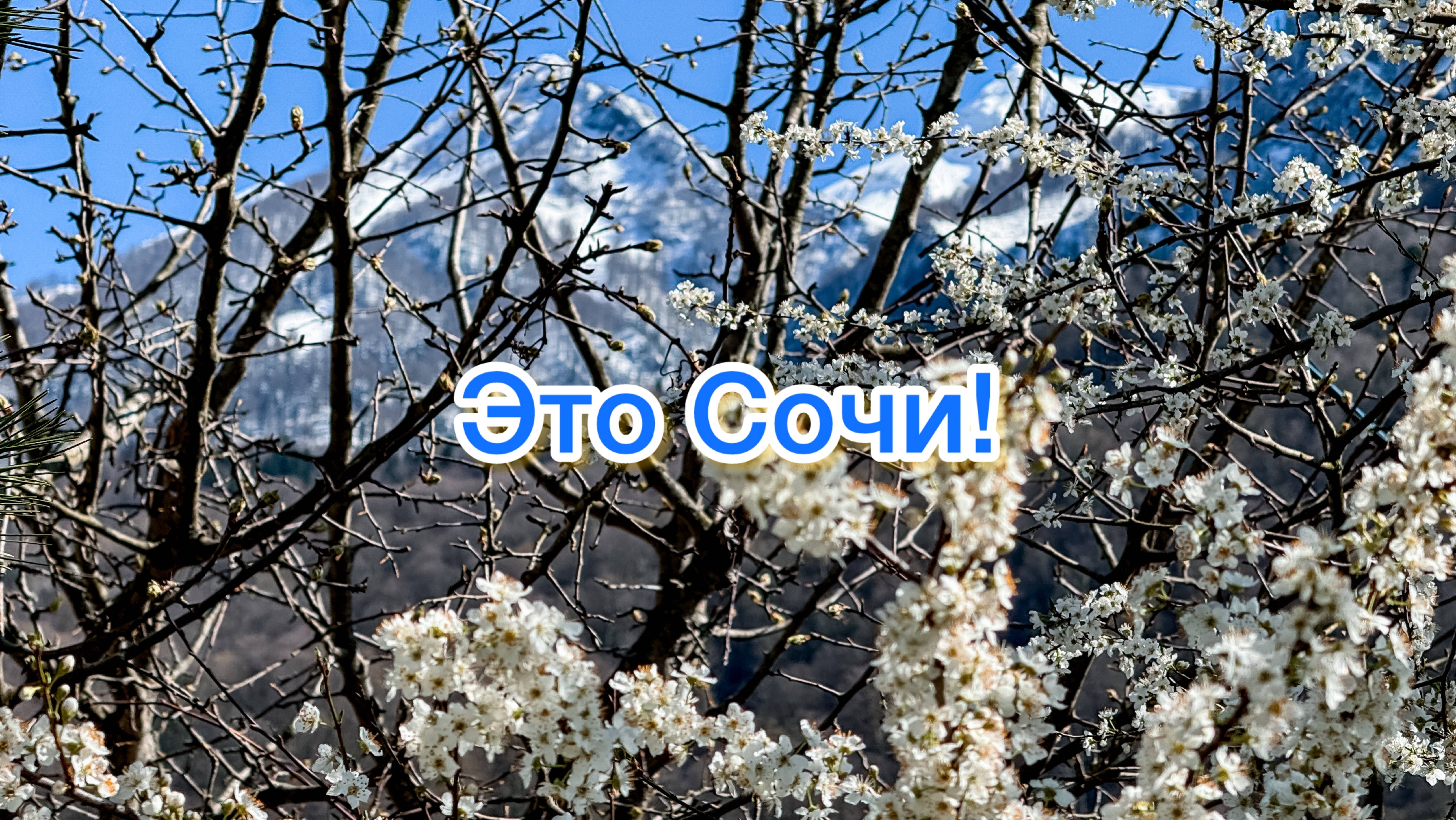 Лыжи, море и цветущие сады - все в одном дне! смотреть онлайн