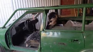 На склад прибыл груз из Ростова