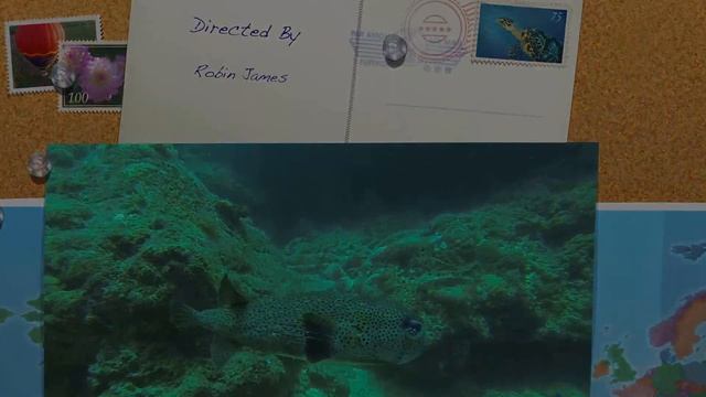 Mauritius Diving
