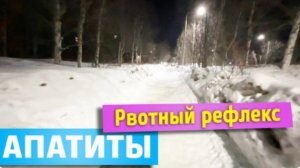Меня часто тошнит | Хочется подарить мыло | Апатиты