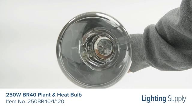 Standard 250W BR40 Plant & Heat Bulb (250BR40/1/120)