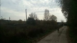 Последние дачные прогулки.Исследую окрестности вокруг поселка.