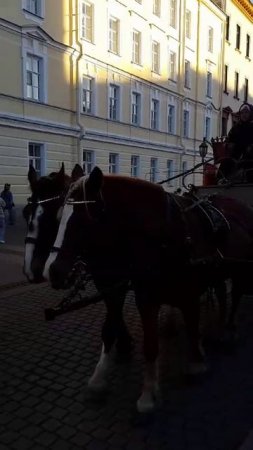 VID-20250407-WA0065