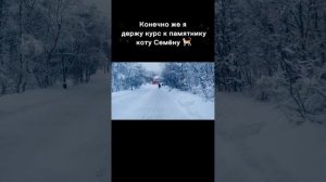А вы знаете историю про кота Семёна?