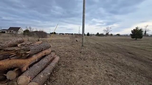 СЕЛЬЧАНКА В АМЕРИКЕ. ПЕЧАЛЬНАЯ НОВОСТЬ.