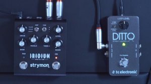 Strymon IRIDIUM: Demo & Review, with extensive sound test of all the 3 amps simulated