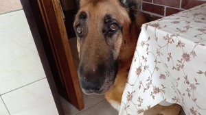 У дежурного доктора с  Таисией. Магазин 7шагоофф. Улыбка Радуги. Покупки.Ленивые голубцы. Оливье.