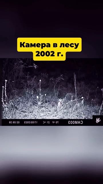 Вымершие животные снятые на камеру