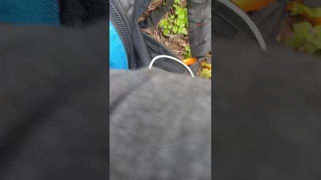 коп