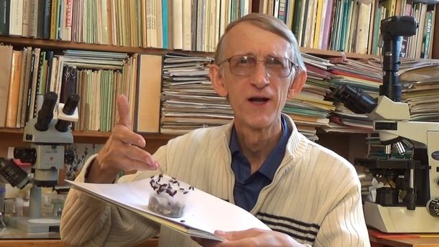 Welcome to My Channel About Nature, Entomology & Beekeeping! смотреть онлайн