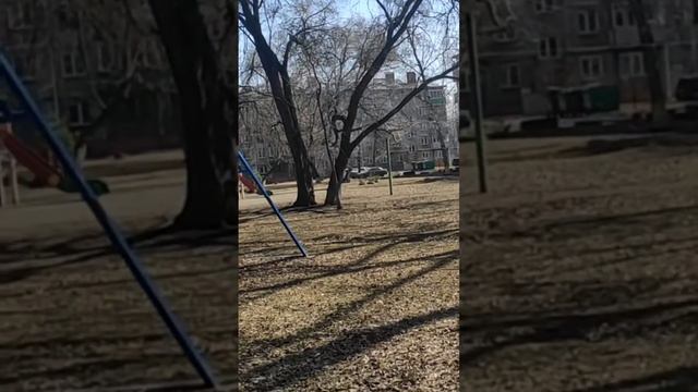 пошла гулять с Ликой/жара плюс 22🌞 смотреть онлайн