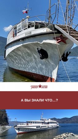 «Пионер Алтая» - теплоход, сочетающий в себе уникальную историю и современный комфорт.