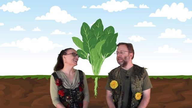 Spinach - Healthy Kids Coalition