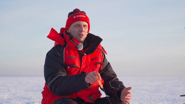 Как поймать ОКУНЯ на БЕСКЛЁВЬЕ: мои 8 СЕКРЕТОВ #zubtotalspinning смотреть онлайн