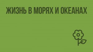 Жизнь в морях и океанах. Видеоурок по природоведению 5 класс
