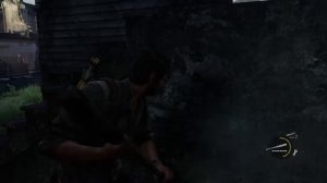 Одни из нас™ обновленная версия Баг