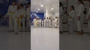 Страховки. АЙКИДО Ёшинкан. Сургут