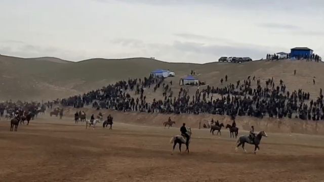 Бузкашии н дангара 15 01 2022 кисми 7 улок смотреть онлайн