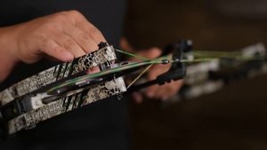 Bear Archery 2018 | Kuma