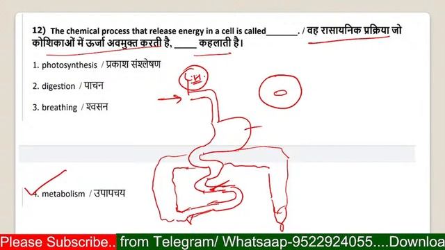 Science के 15 नंबर की तैयारी कैसे करें,  क्या पड़ें  | Science for MP Police Constable Exam 2021