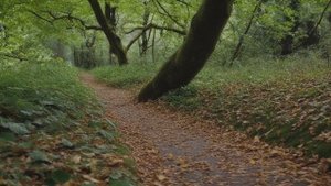 Может ли убить монета, брошенная с небоскреба