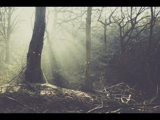 Взял фэтбайк и поехал в Комсомольскую рощу. Зима, JJ 4.8" х 12 psi смотреть онлайн